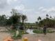 Enfermedades tropicales desatendidas: el caso de la úlcera de Buruli