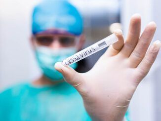 Qué riesgo implica el peligroso brote de fiebre de Lassa surgido en África