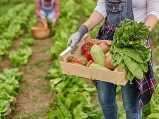 Cómo hacer la dieta mediterránea aún más saludable para las personas y el planeta