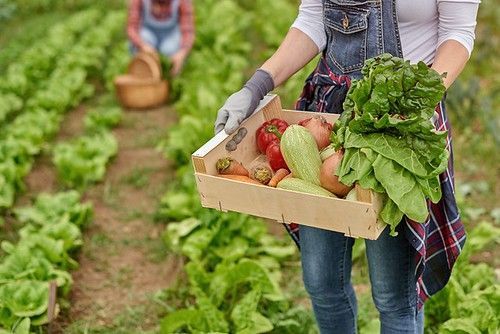 Cómo hacer la dieta mediterránea aún más saludable para las personas y el planeta
