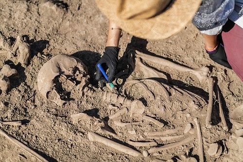 ¿Ellas al cuidado y ellos a cazar? La arqueogenética prueba que no siempre fue así