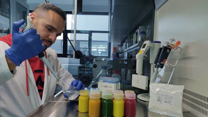 La «bebida del futuro» la han desarrollado un fabricante de salmorejo, una startup de la aceituna y el CSIC