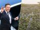 Elon Musk está construyendo su propia ciudad en Texas. Su objetivo: una «utopía» con alquileres asequibles