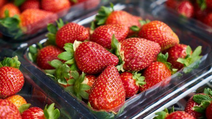 Las fresas de Huelva se venden más baratas en Alemania que en España. Y es sólo el principio del problema
