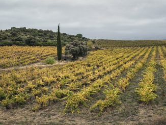 Una bodega francesa se jactaba de hacer «vinos cósmicos», en contra de los científicos. El tiempo le ha dado la razón