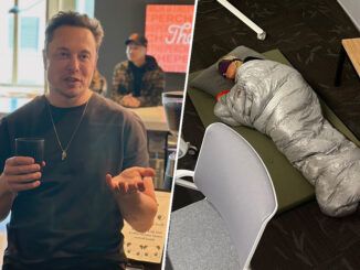 Nadie está libre de ser despedido por Elon Musk. Ni siquiera la empleada que durmió en su oficina para lanzar Twitter Blue