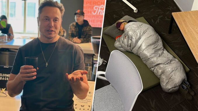 Nadie está libre de ser despedido por Elon Musk. Ni siquiera la empleada que durmió en su oficina para lanzar Twitter Blue