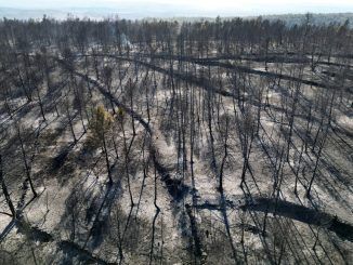 El incendio de Castellón solo es un anticipo de lo que nos espera: Cómo los incendios de sexta generación lo van a cambiar todo