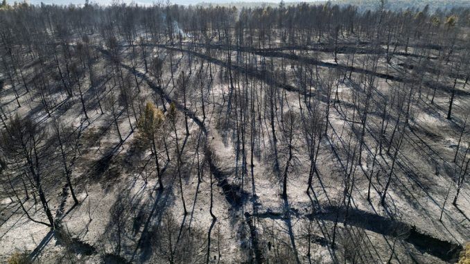 El incendio de Castellón solo es un anticipo de lo que nos espera: Cómo los incendios de sexta generación lo van a cambiar todo
