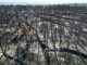 El incendio de Castellón solo es un anticipo de lo que nos espera: Cómo los incendios de sexta generación lo van a cambiar todo