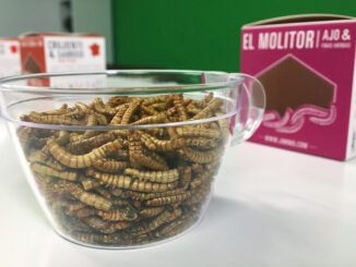La mayor granja de insectos del mundo se está construyendo en Salamanca (y la UE aprueba que nos los comamos)