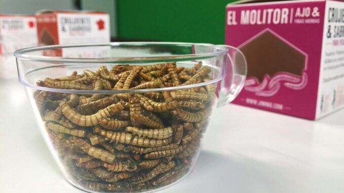 La mayor granja de insectos del mundo se está construyendo en Salamanca (y la UE aprueba que nos los comamos)