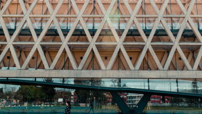 El renacimiento de la madera: acaban de diseñar una que se hace más fuerte conforme atrapa CO2