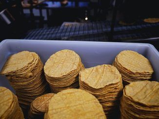 Tortillas sí, pero transgénicos: cómo los tacos han conducido a un enfrentamiento comercial entre México y EEUU