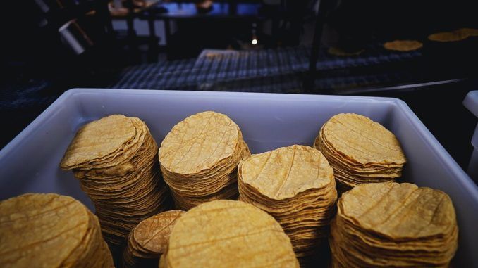 Tortillas sí, pero transgénicos: cómo los tacos han conducido a un enfrentamiento comercial entre México y EEUU