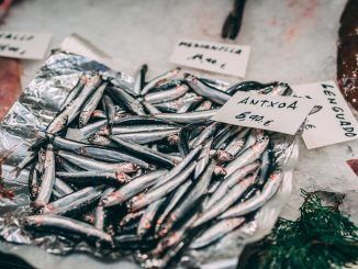Una historia de anchoas, bocartes y boquerones: como la ‘little Italy’ del Cantábrico revolucionó la industria pesquera internacional