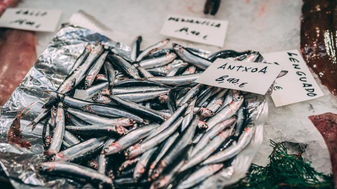 Una historia de anchoas, bocartes y boquerones: como la ‘little Italy’ del Cantábrico revolucionó la industria pesquera internacional