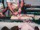 Si la pregunta es «cuáles son los pescados más afectados por el anisakis», la ciencia ya tiene la respuesta