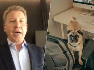 Un CEO elogió a un trabajador que vendió a su perro para volver a la oficina. Es el extremo de la guerra por el teletrabajo