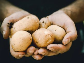 Cómo de seguro es consumir patatas una vez han empezado a echar raíces: lo que dice la ciencia