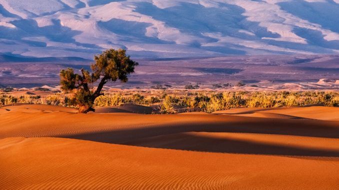La sequía está convirtiendo a España en lo que siempre se temió a futuro: una sucursal del Sáhara