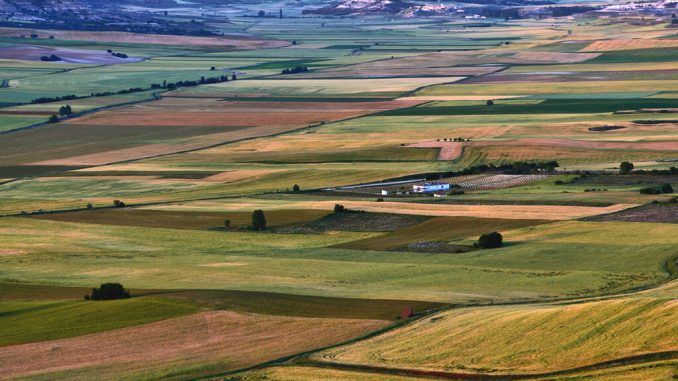 Aquí, a 300 kilómetros del mar, se pescan langostinos: la tecnología que ha convertido a Castilla en un caladero