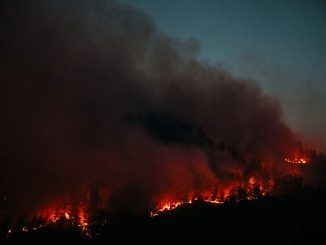 Asturias no arde, ¿la queman? Qué sabemos realmente sobre quiénes son los pirómanos y quién prende fuego al monte