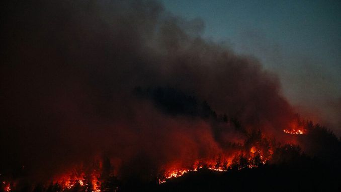 Asturias no arde, ¿la queman? Qué sabemos realmente sobre quiénes son los pirómanos y quién prende fuego al monte