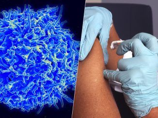 El cáncer del páncreas es uno de los más difíciles de combatir. Ahora estamos más cerca de su vacuna