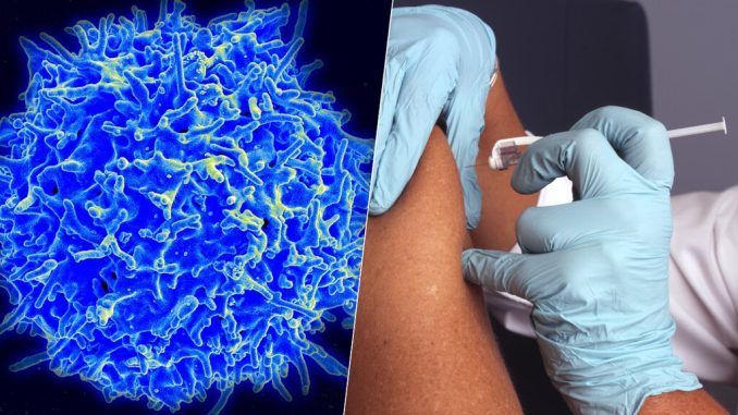 El cáncer del páncreas es uno de los más difíciles de combatir. Ahora estamos más cerca de su vacuna
