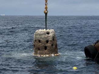 Hemos hundido una montaña de carbonato cálcico en la costa catalana. Y tiene todo el sentido del mundo