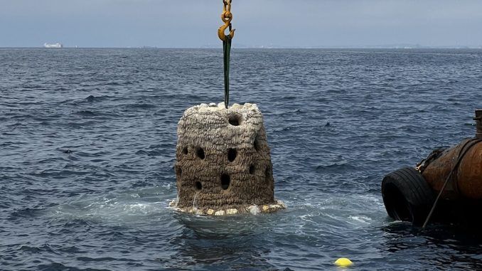 Hemos hundido una montaña de carbonato cálcico en la costa catalana. Y tiene todo el sentido del mundo