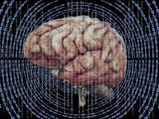 El truco que utiliza el cerebro para memorizar puede ser el que nos permite hacer varias cosas a la vez, y tiene que ver con el ritmo