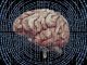 El truco que utiliza el cerebro para memorizar puede ser el que nos permite hacer varias cosas a la vez, y tiene que ver con el ritmo