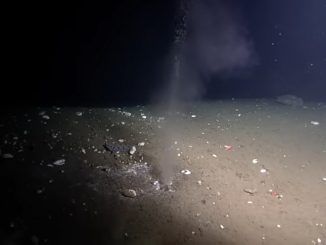 Hemos encontrado por casualidad un agujero en el fondo del océano: el Oasis de Pythia