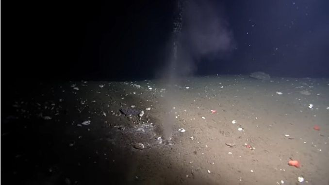 Hemos encontrado por casualidad un agujero en el fondo del océano: el Oasis de Pythia