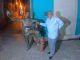 Programa del festival de Son decano de Cuba «MATAMOROSON» #santiagodecubacunadelson