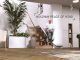 TK Home Solutions presenta MAX HOME para una movilidad segura en casa